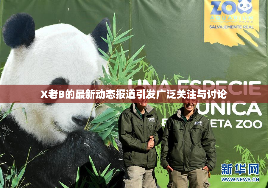 X老B的最新动态报道引发广泛关注与讨论