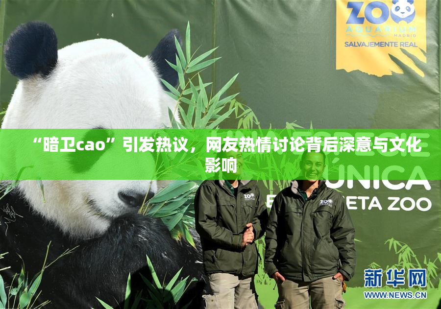 “暗卫cao”引发热议，网友热情讨论背后深意与文化影响