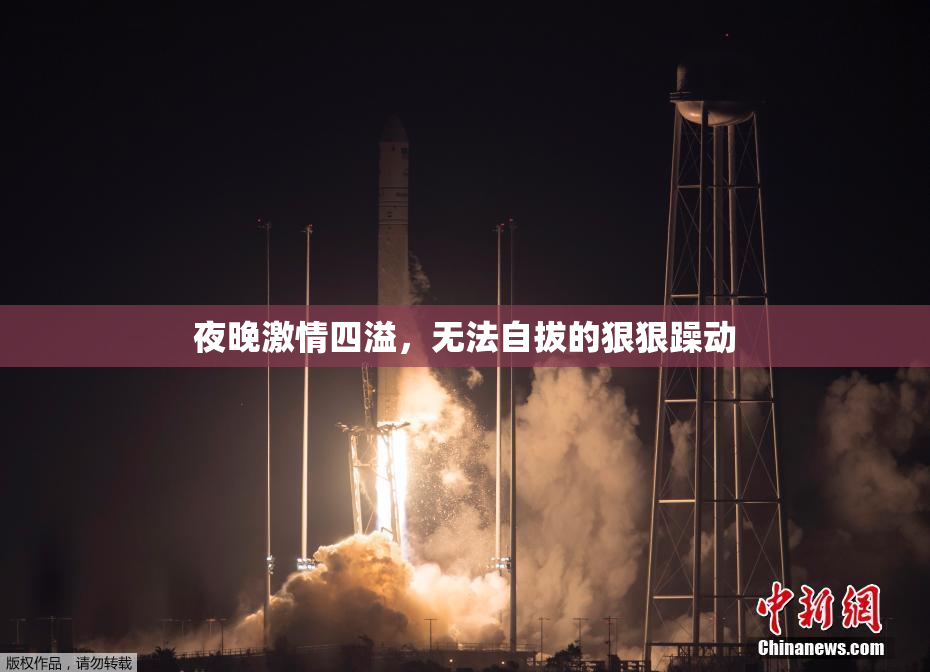 夜晚激情四溢，无法自拔的狠狠躁动