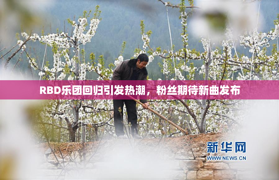 RBD乐团回归引发热潮，粉丝期待新曲发布