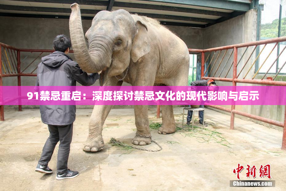91禁忌重启：深度探讨禁忌文化的现代影响与启示