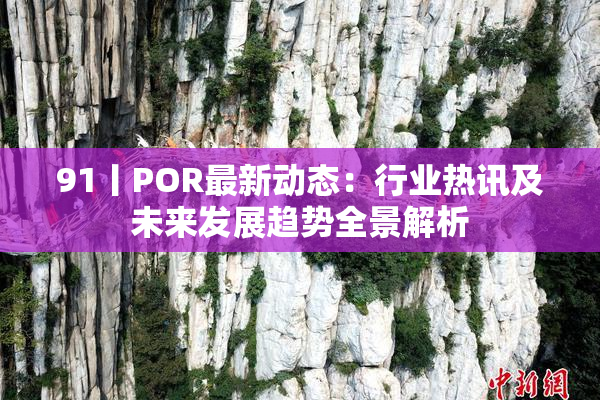 91丨POR最新动态：行业热讯及未来发展趋势全景解析