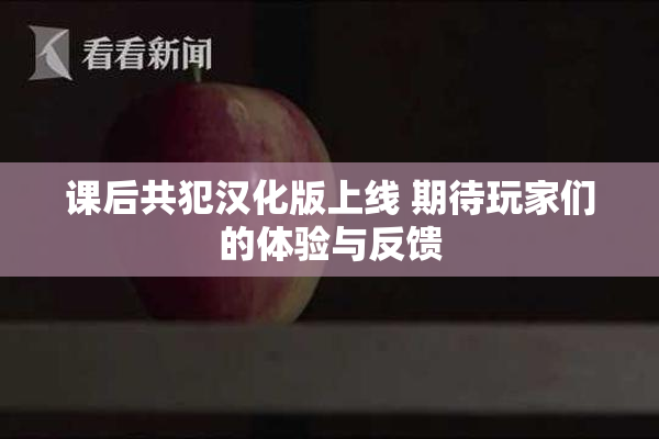 课后共犯汉化版上线 期待玩家们的体验与反馈