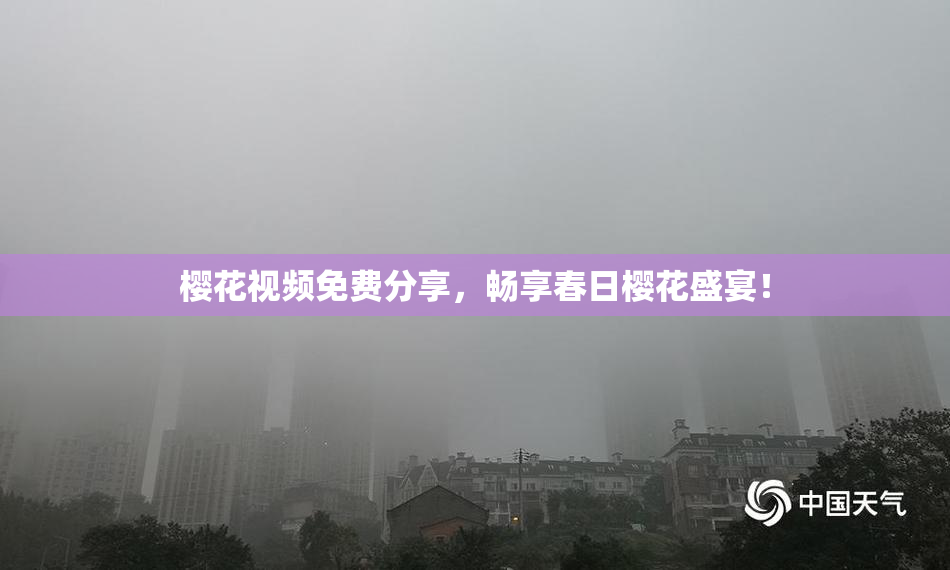 樱花视频免费分享，畅享春日樱花盛宴！