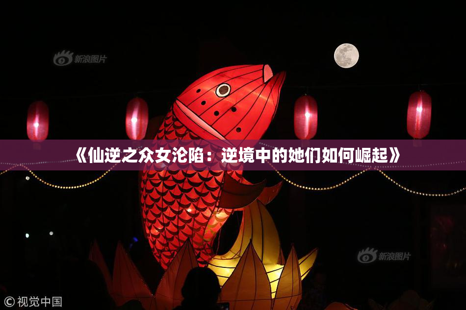 《仙逆之众女沦陷：逆境中的她们如何崛起》