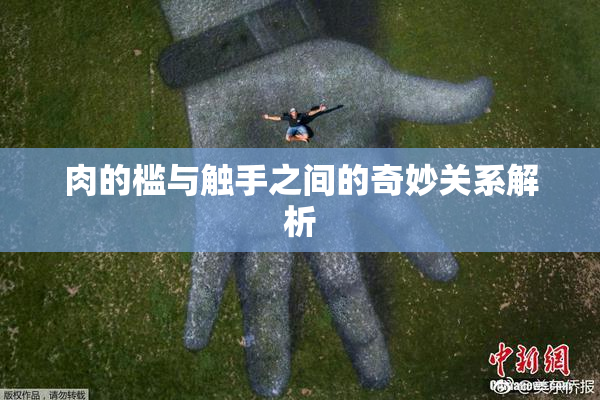 肉的槛与触手之间的奇妙关系解析