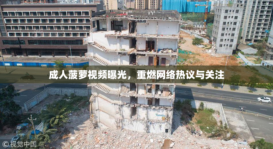 成人菠萝视频曝光，重燃网络热议与关注