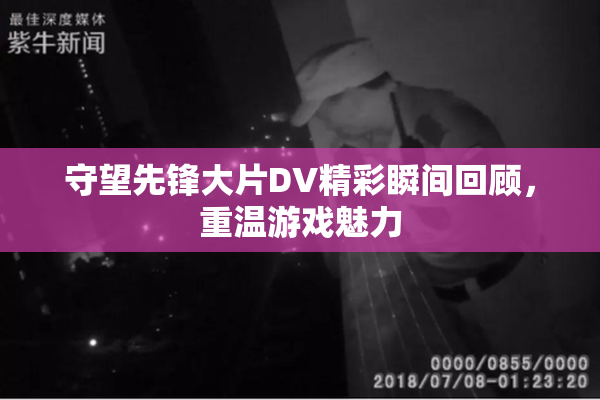 守望先锋大片DV精彩瞬间回顾，重温游戏魅力
