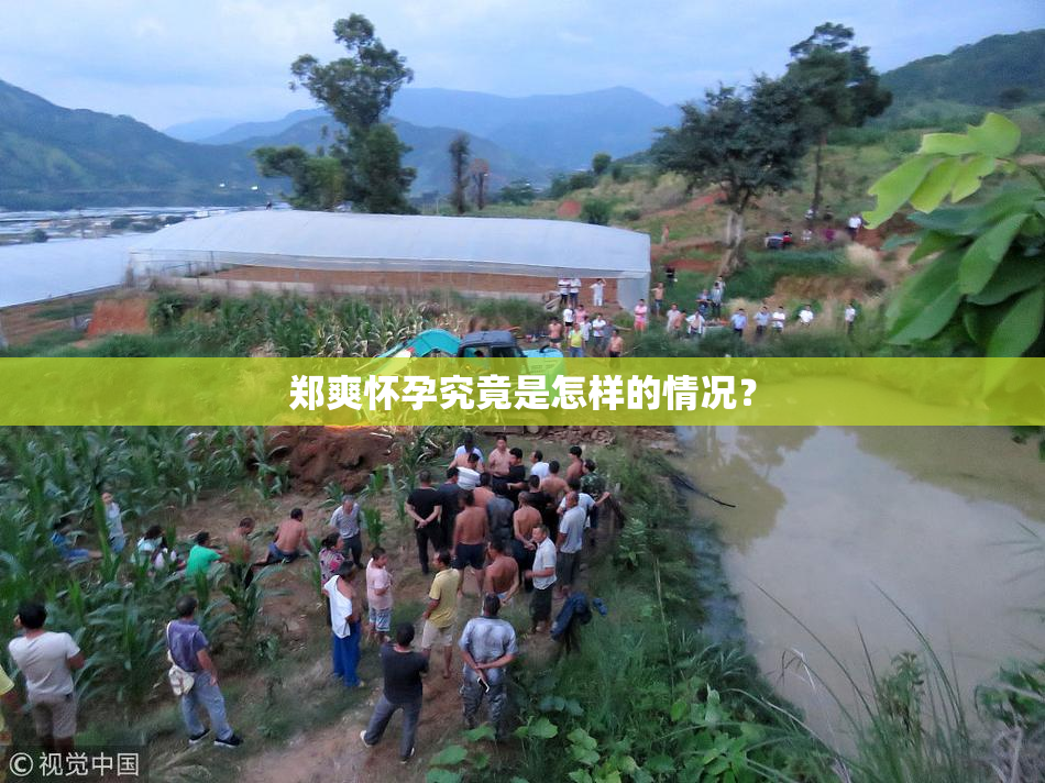 郑爽怀孕究竟是怎样的情况？