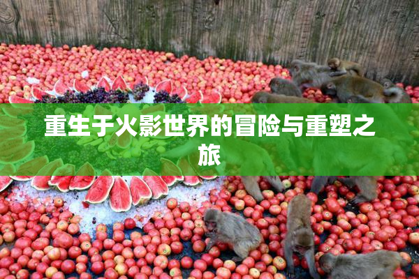 重生于火影世界的冒险与重塑之旅