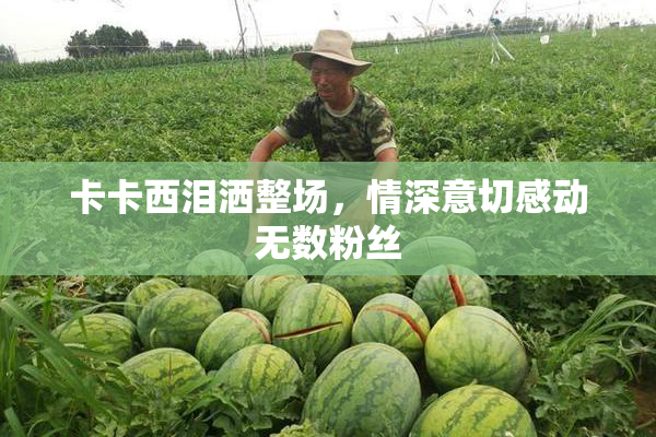 卡卡西泪洒整场，情深意切感动无数粉丝