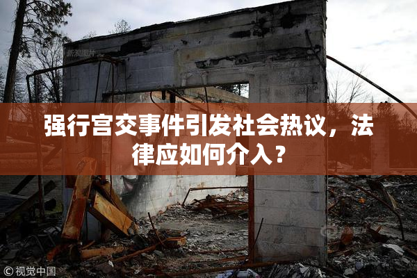强行宫交事件引发社会热议，法律应如何介入？