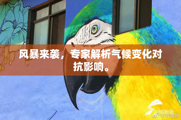 风暴来袭，专家解析气候变化对抗影响。