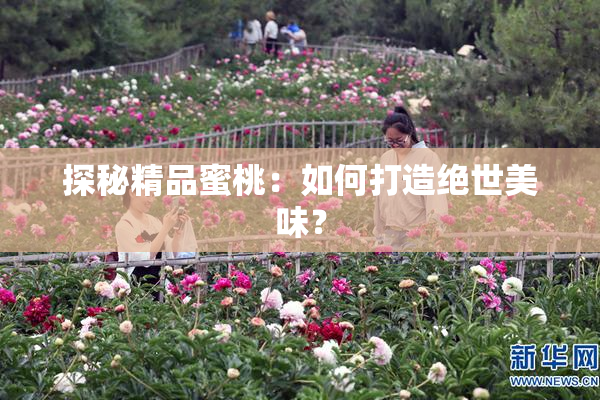 探秘精品蜜桃：如何打造绝世美味？