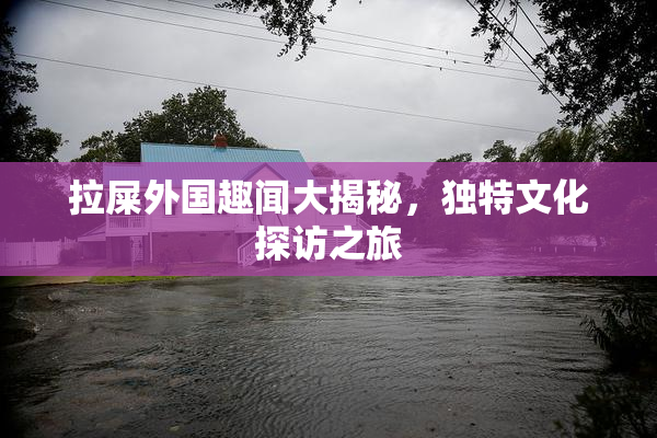 拉屎外国趣闻大揭秘，独特文化探访之旅