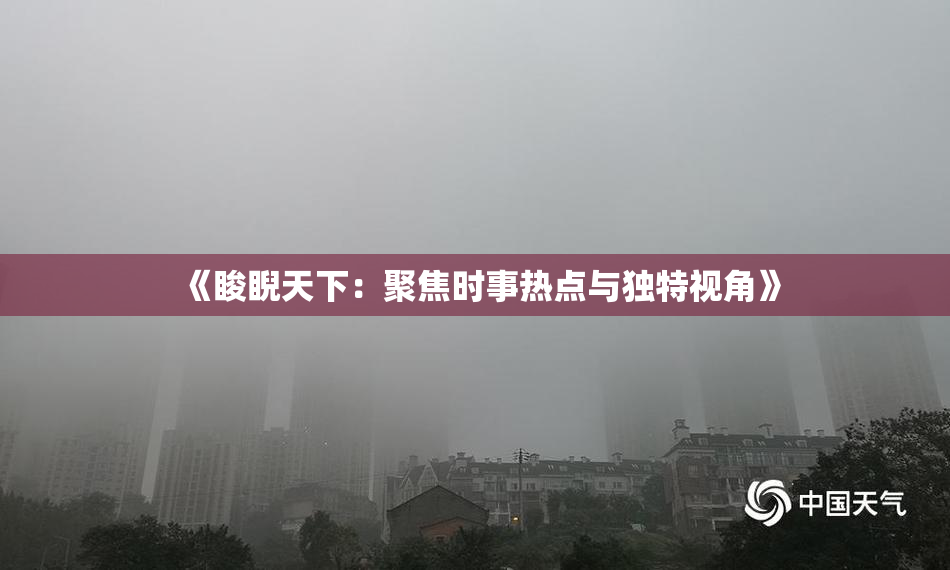 《睃睨天下：聚焦时事热点与独特视角》