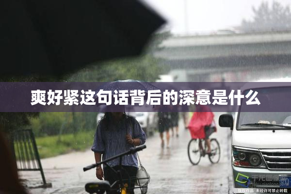 爽好紧这句话背后的深意是什么