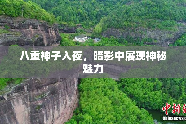八重神子入夜，暗影中展现神秘魅力