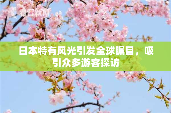 日本特有风光引发全球瞩目，吸引众多游客探访