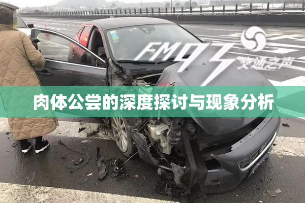 肉体公尝的深度探讨与现象分析