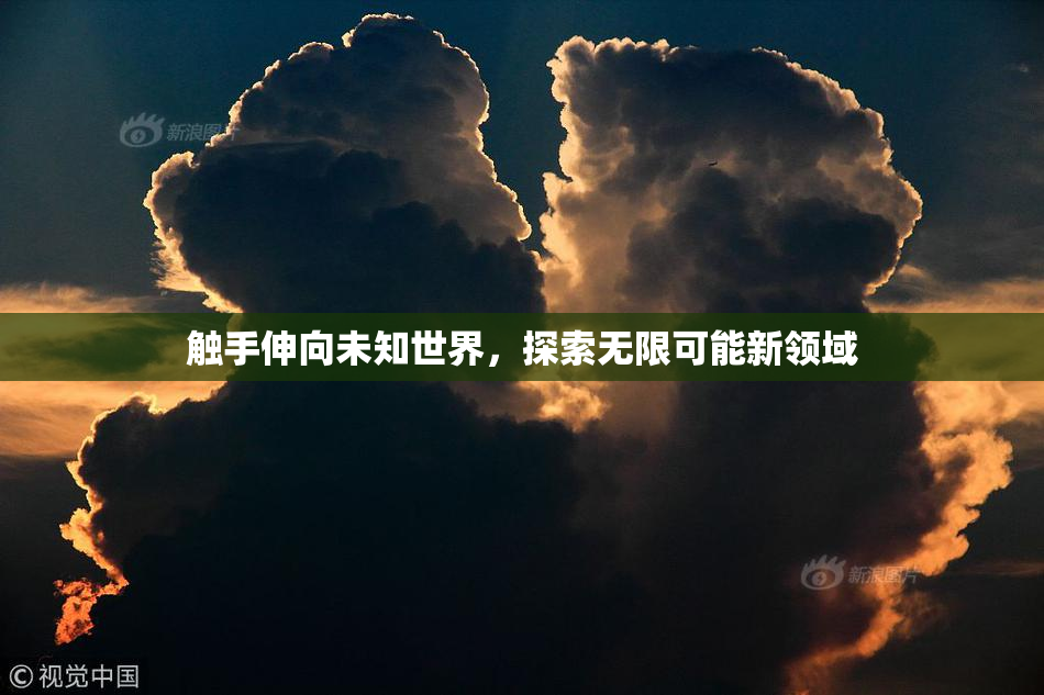 触手伸向未知世界，探索无限可能新领域