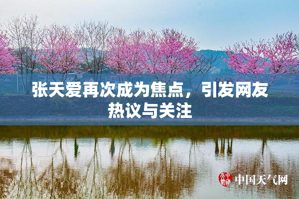 张天爱再次成为焦点，引发网友热议与关注
