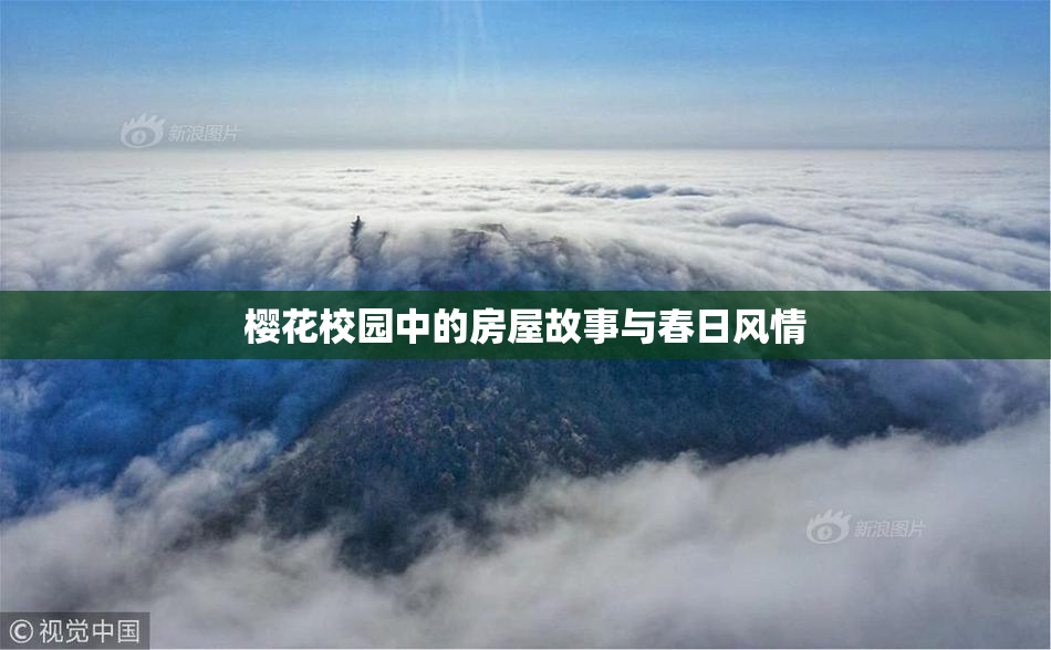 樱花校园中的房屋故事与春日风情
