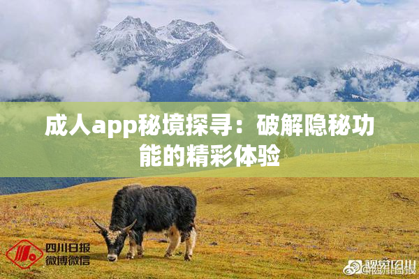 成人app秘境探寻：破解隐秘功能的精彩体验