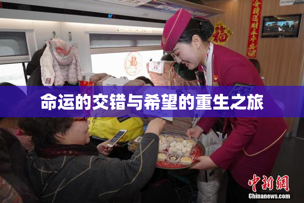 命运的交错与希望的重生之旅