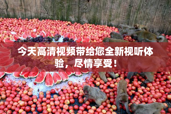 今天高清视频带给您全新视听体验，尽情享受！