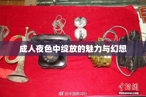 成人夜色中绽放的魅力与幻想