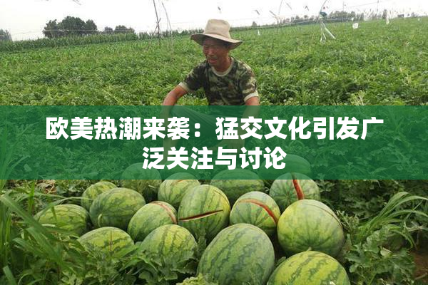 欧美热潮来袭：猛交文化引发广泛关注与讨论