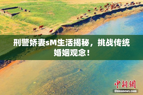 刑警娇妻sM生活揭秘，挑战传统婚姻观念！