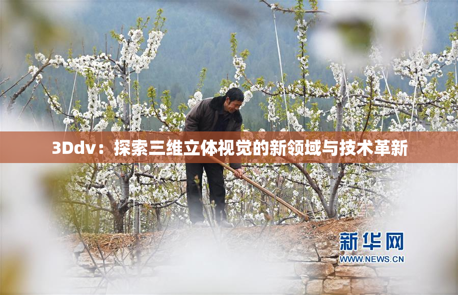 3Ddv：探索三维立体视觉的新领域与技术革新