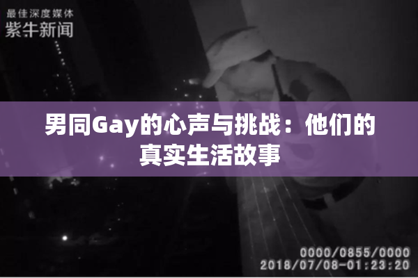 男同Gay的心声与挑战：他们的真实生活故事