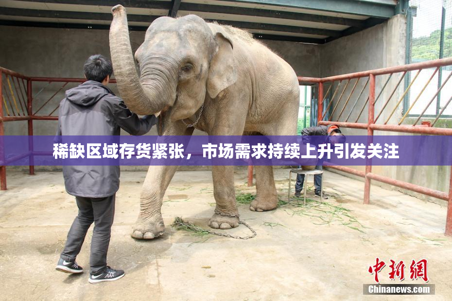 稀缺区域存货紧张，市场需求持续上升引发关注