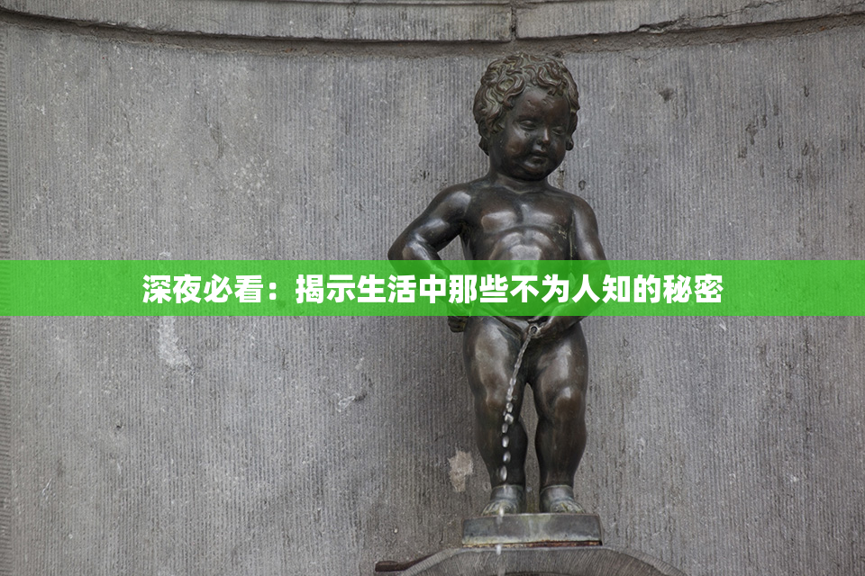 深夜必看：揭示生活中那些不为人知的秘密