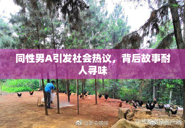 同性男A引发社会热议，背后故事耐人寻味