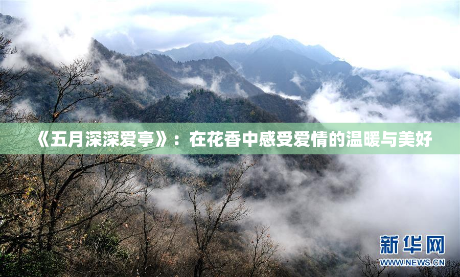 《五月深深爱亭》：在花香中感受爱情的温暖与美好