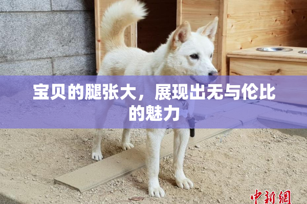 宝贝的腿张大，展现出无与伦比的魅力