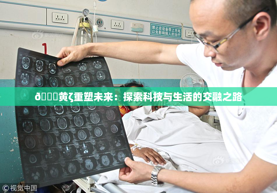🔞黄ζ重塑未来：探索科技与生活的交融之路
