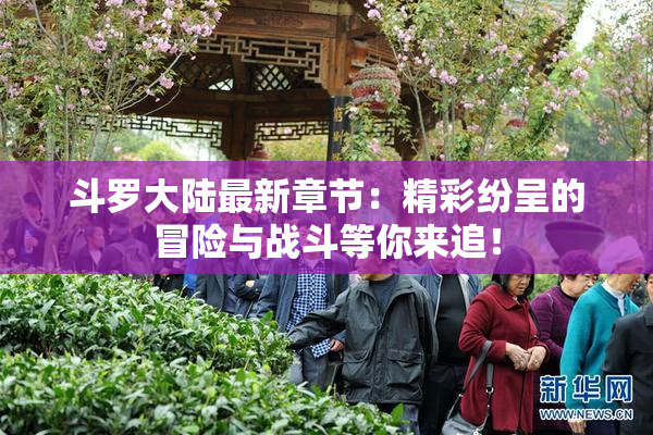 斗罗大陆最新章节：精彩纷呈的冒险与战斗等你来追！