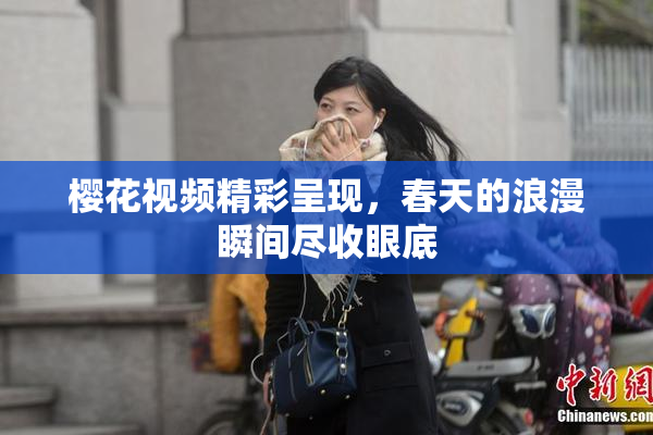 樱花视频精彩呈现，春天的浪漫瞬间尽收眼底