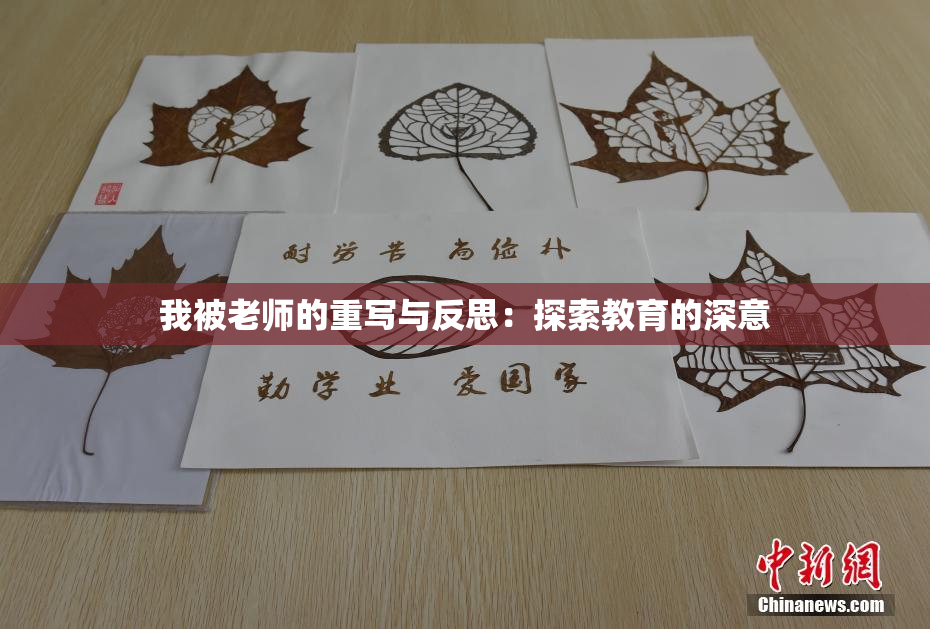 我被老师的重写与反思：探索教育的深意
