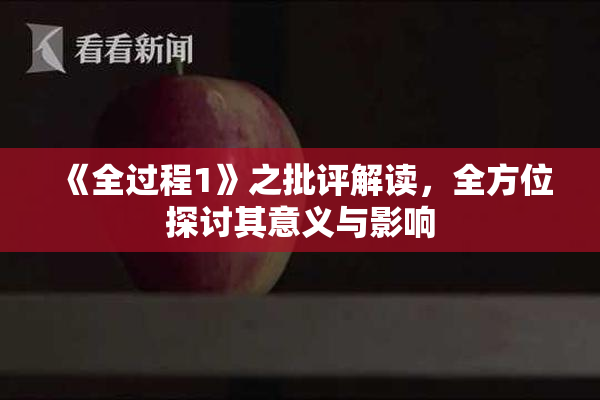 《全过程1》之批评解读，全方位探讨其意义与影响