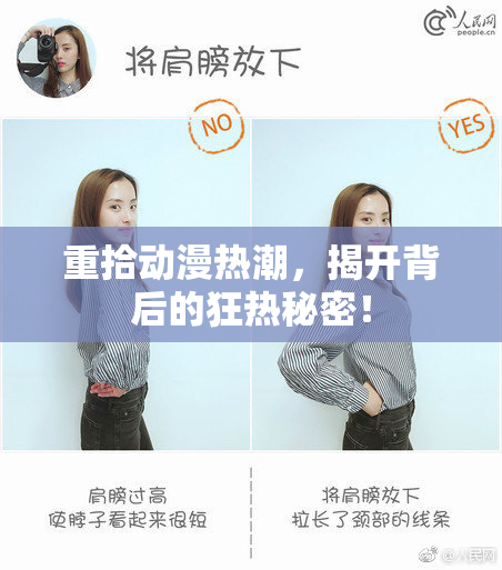 重拾动漫热潮，揭开背后的狂热秘密！