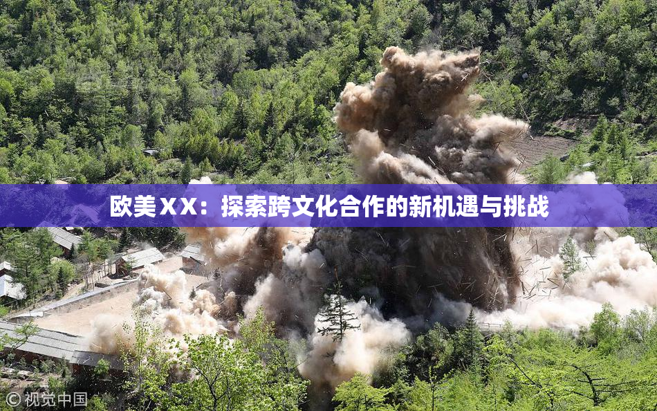 欧美ⅩX：探索跨文化合作的新机遇与挑战