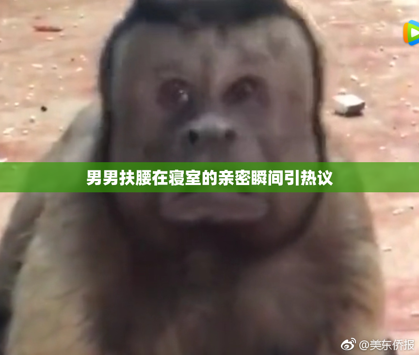 男男扶腰在寝室的亲密瞬间引热议