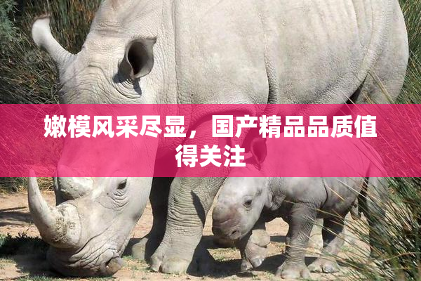 嫩模风采尽显，国产精品品质值得关注