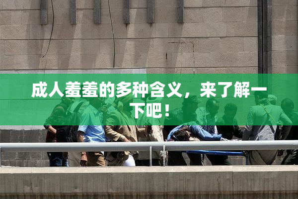 成人羞羞的多种含义，来了解一下吧！